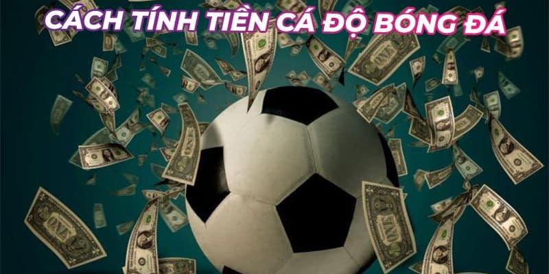 Cách tính tiền cá độ bóng đá