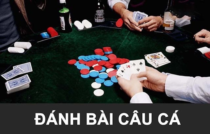 Cách chơi game bài câu cá dễ hiểu